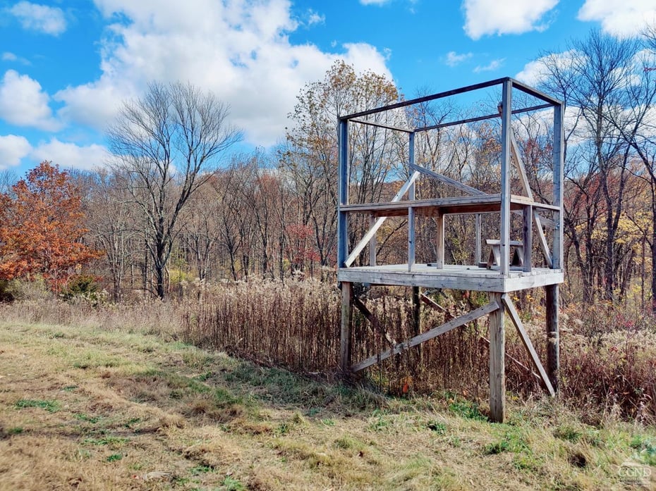 352 Schneider Road Photo 29