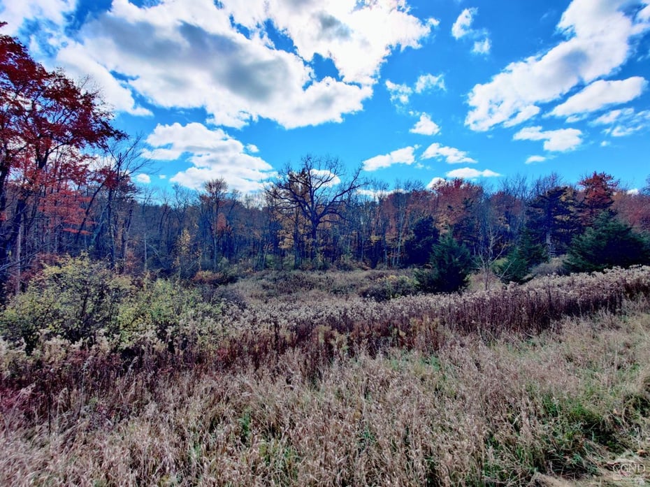 352 Schneider Road Photo 28