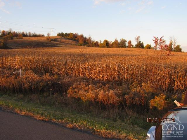 352 Schneider Road Photo 4