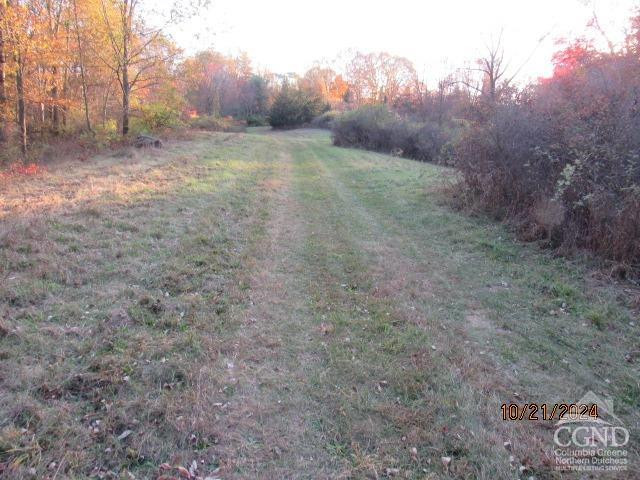 352 Schneider Road Photo 14