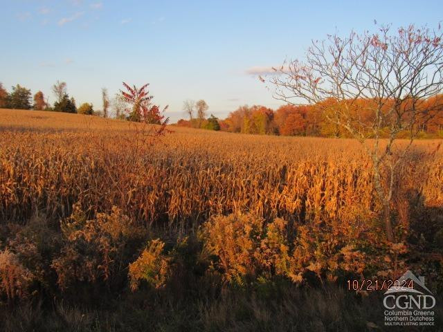 352 Schneider Road Photo 1