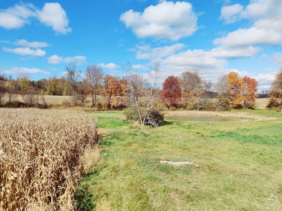 352 Schneider Road Photo 33