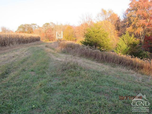 352 Schneider Road Photo 7