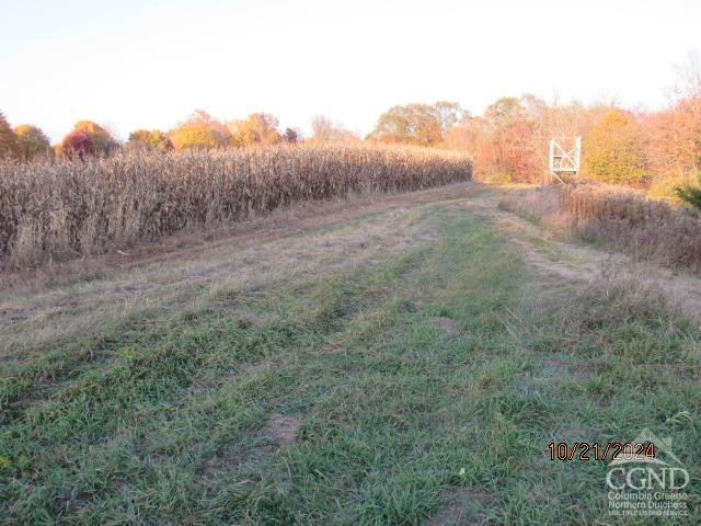 352 Schneider Road Photo 8