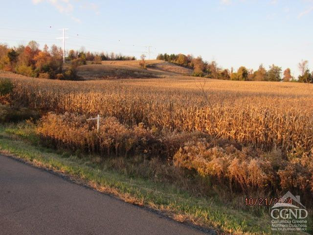 352 Schneider Road Photo 6