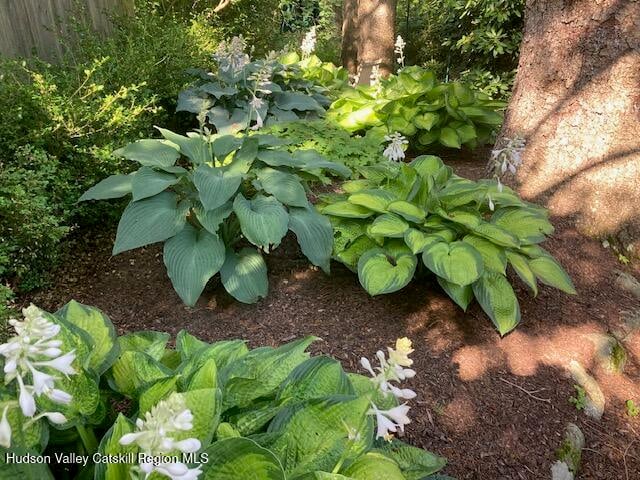 841 New York 203 Photo 38