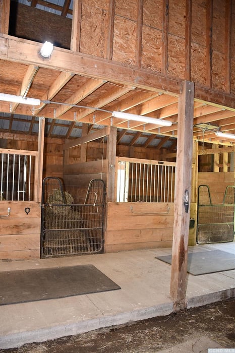 578 Fischer Road Photo 13