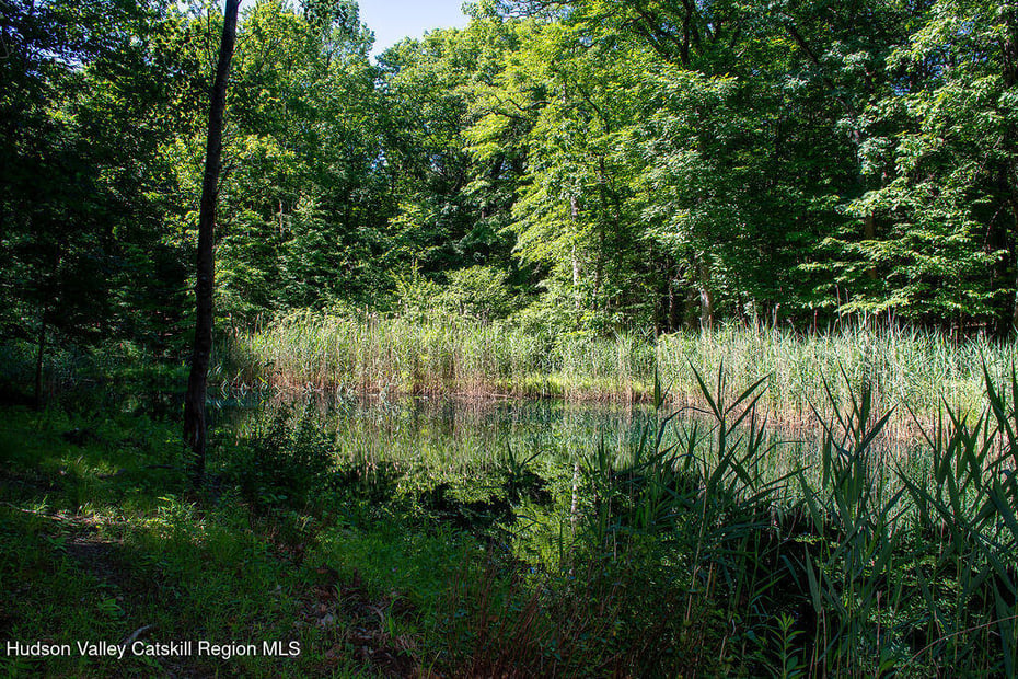578 Fischer Road Photo 9