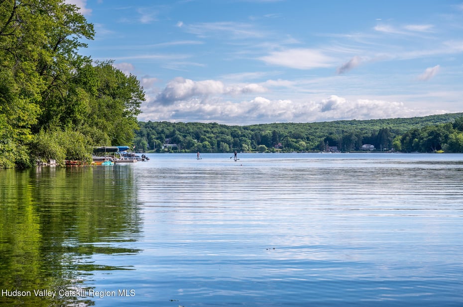 501 Birch Street Photo 43