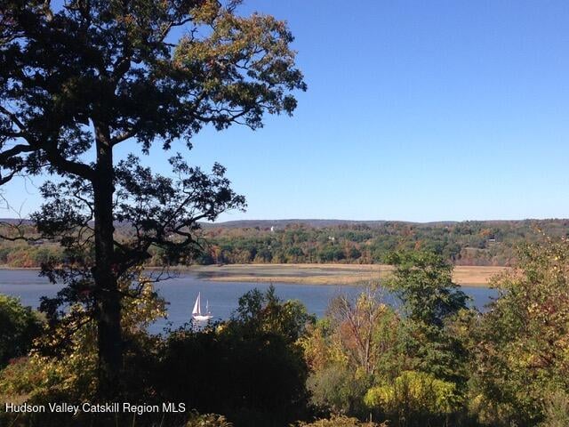 188 Mount Merino Road Photo 21