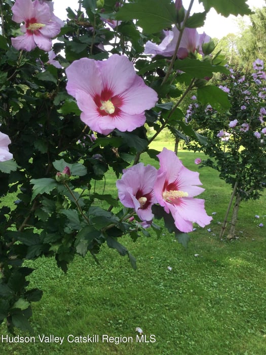 118 Old Shaker Road Photo 13