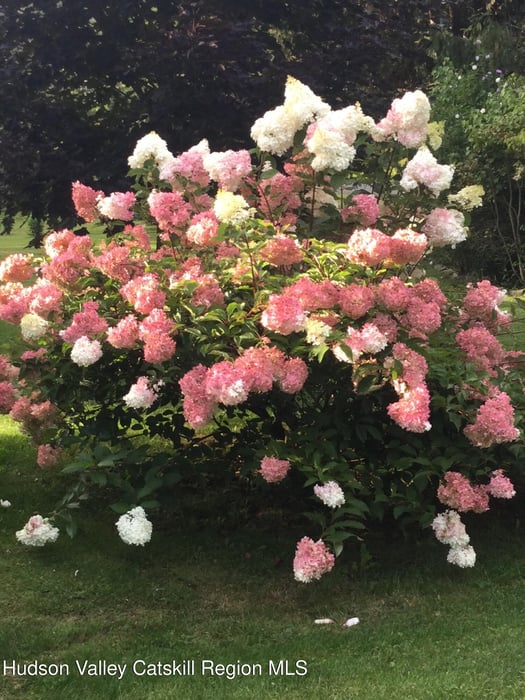 118 Old Shaker Road Photo 8