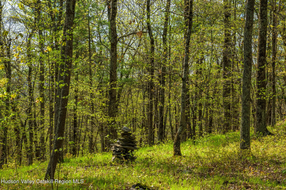 1167 Harlemville Road Photo 41