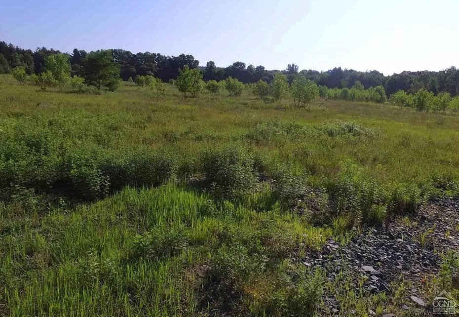 0 - Lot 18 Us Route 9 Photo 4