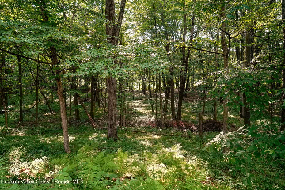 291 Hennett Road Photo 22