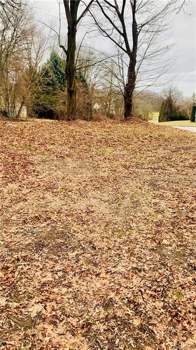 11 Knollwood Crest Photo 9