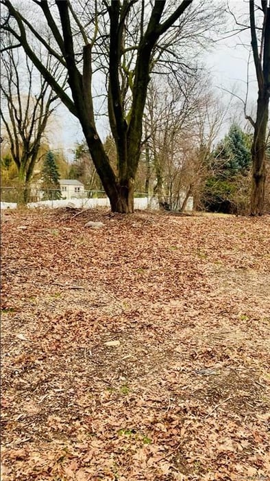11 Knollwood Crest Photo 8