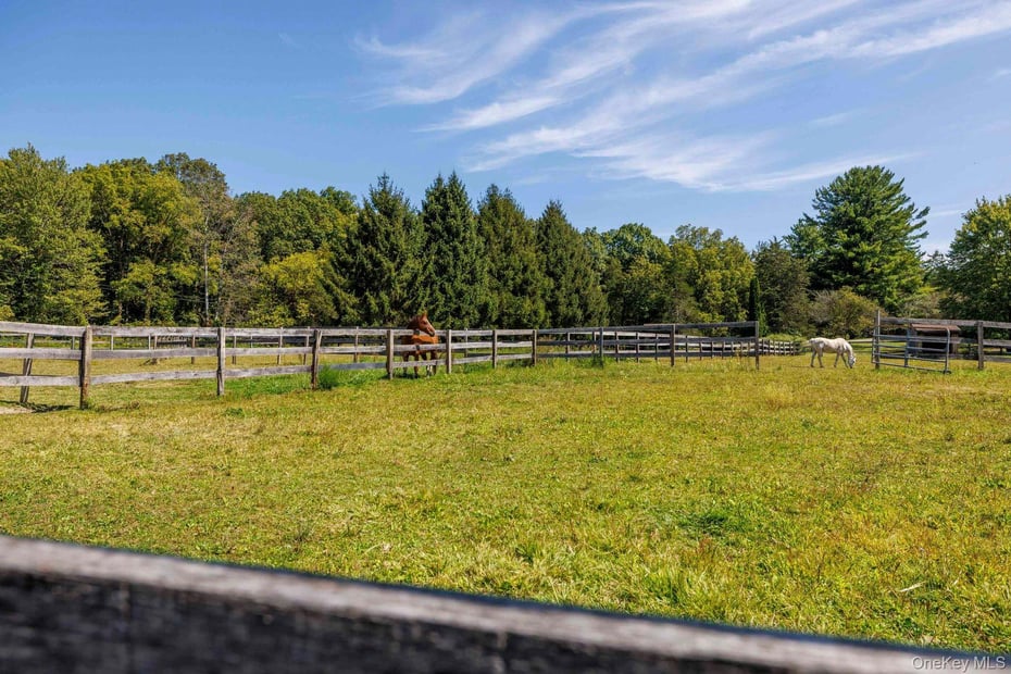 317 County Route 6 Photo 46