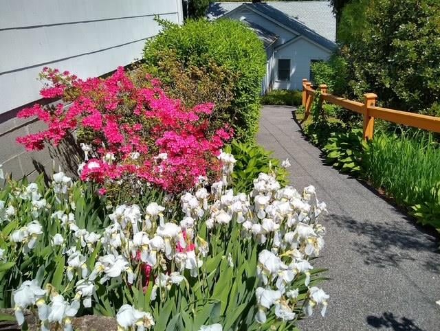 16 Gilbert Street Photo 10