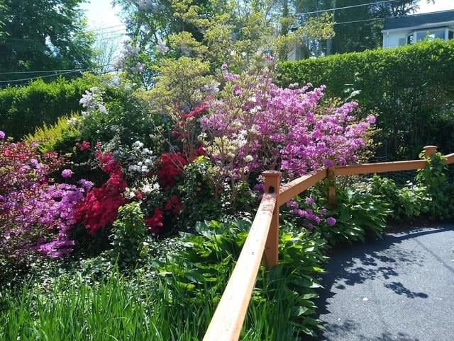 16 Gilbert Street Photo 11