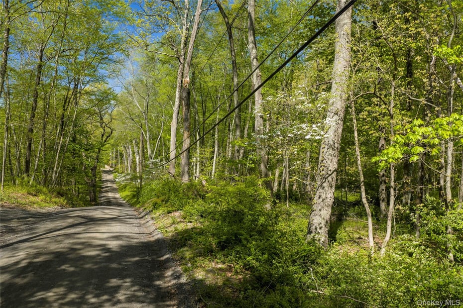 298 Nash Road Photo 2
