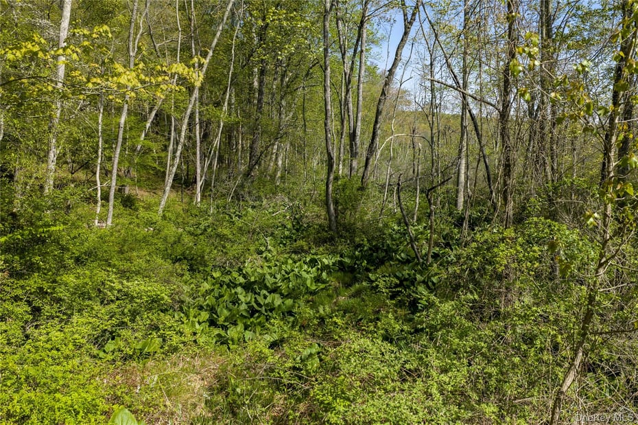 298 Nash Road Photo 9