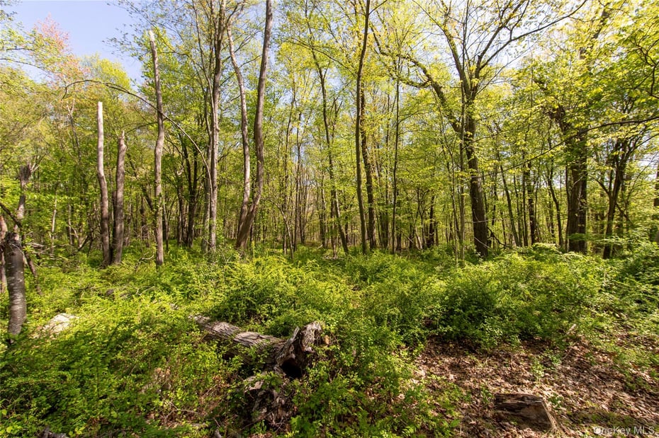 298 Nash Road Photo 5