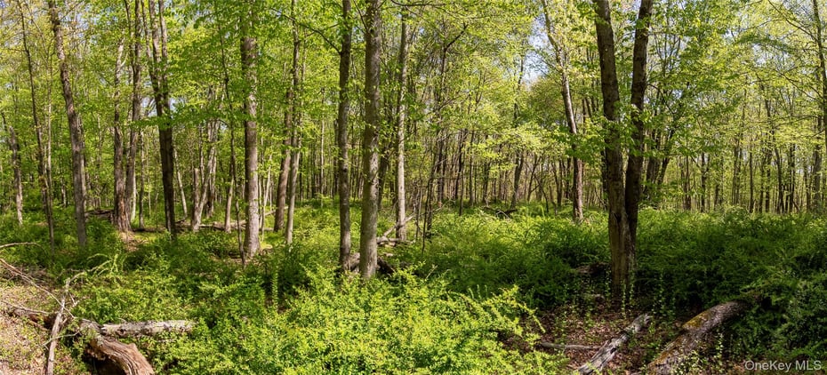 298 Nash Road Photo 7