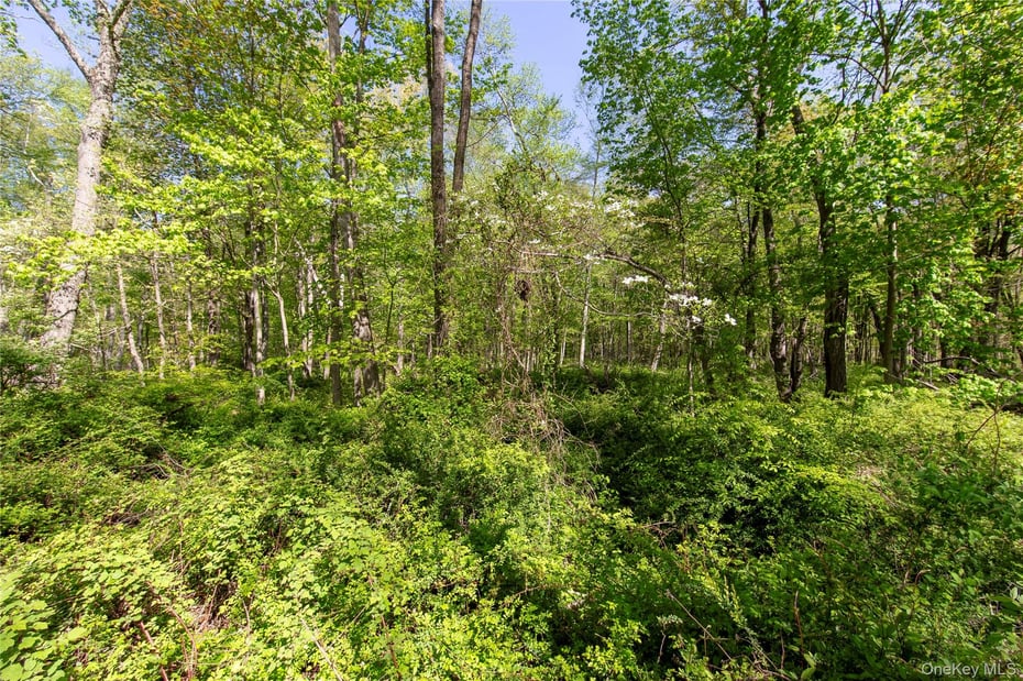 298 Nash Road Photo 6