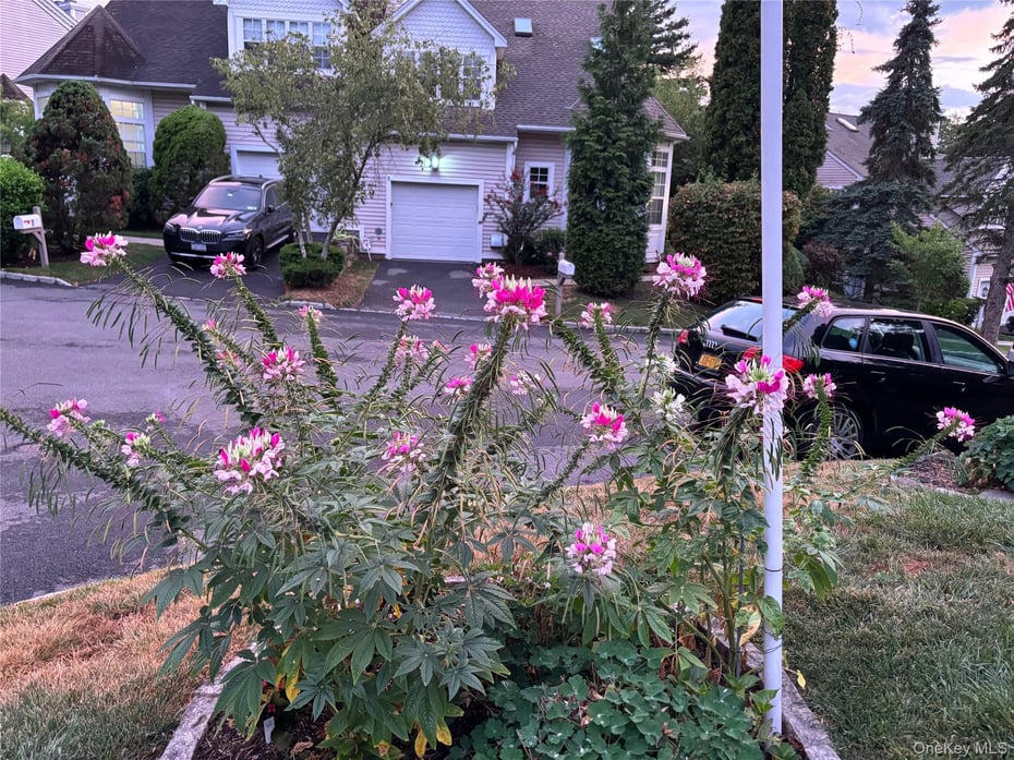 83 Roundtop Road Photo 20