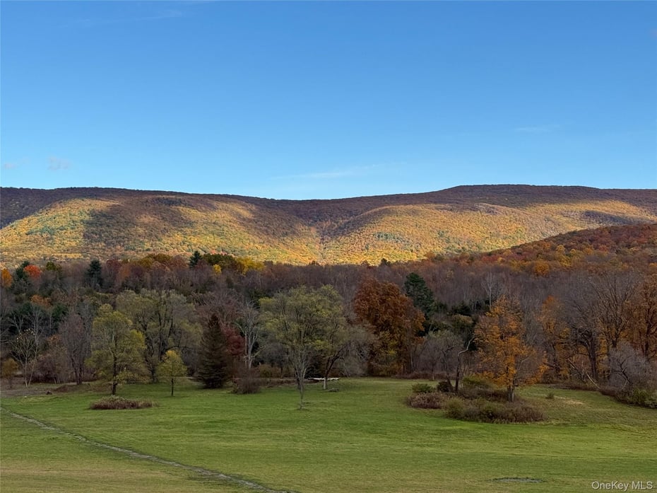 1131 E Ancram Road Photo 17