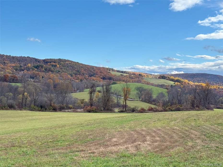 1131 E Ancram Road Photo 4