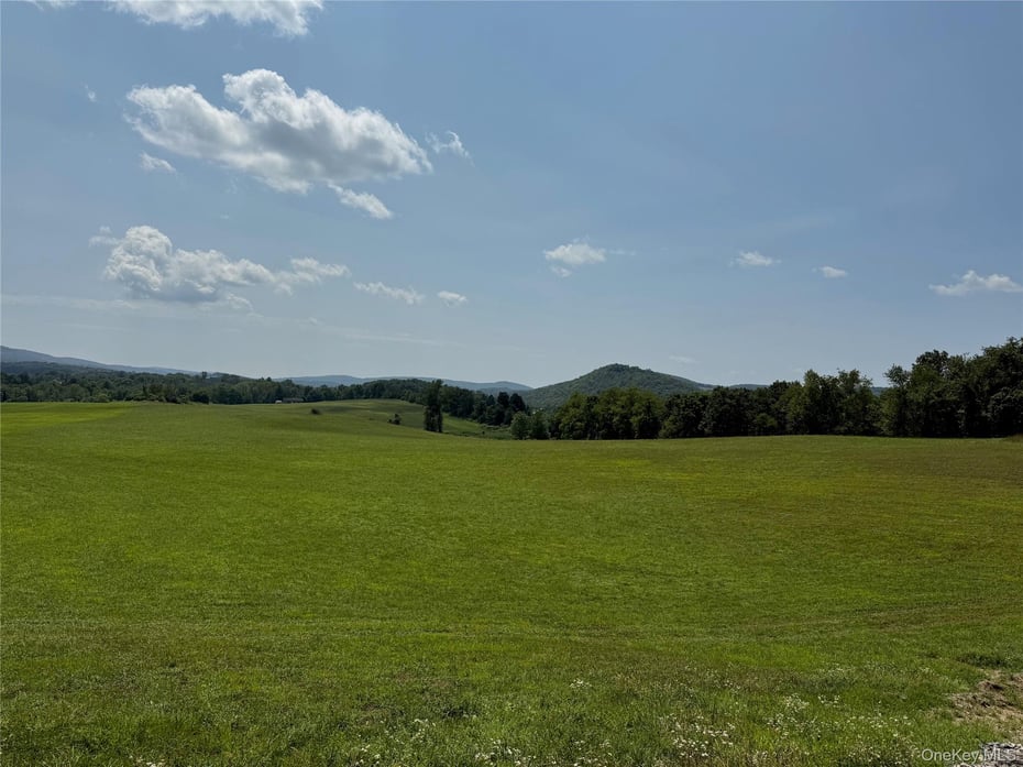 1131 E Ancram Road Photo 2