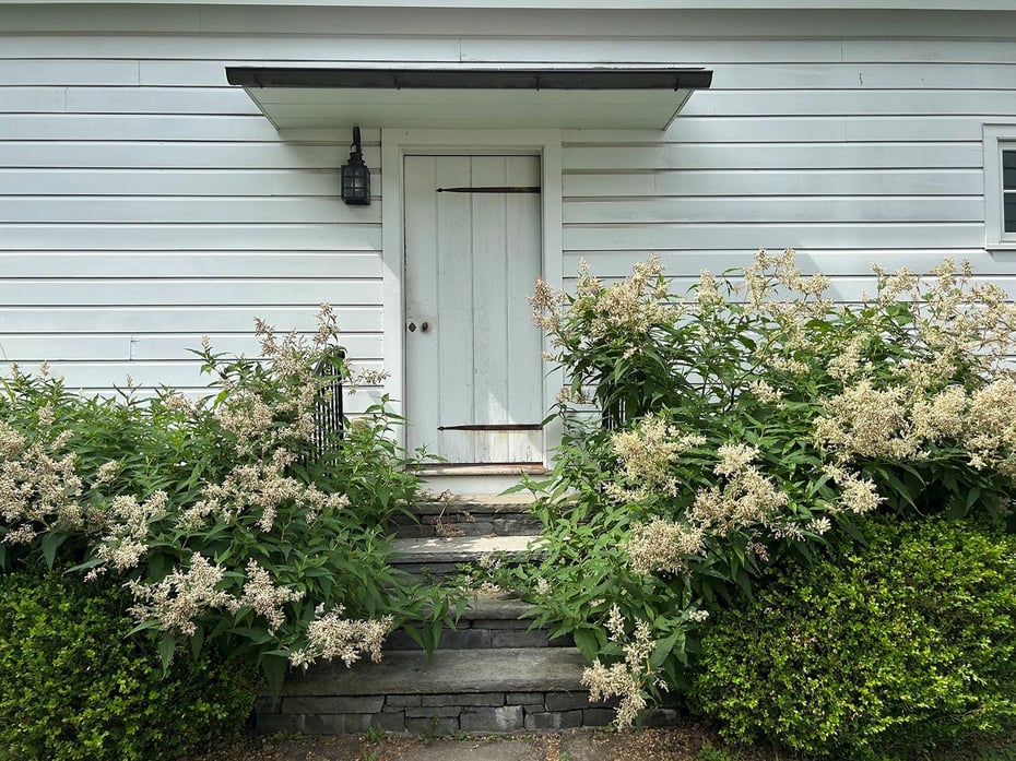 226 County Route 17 Photo 29