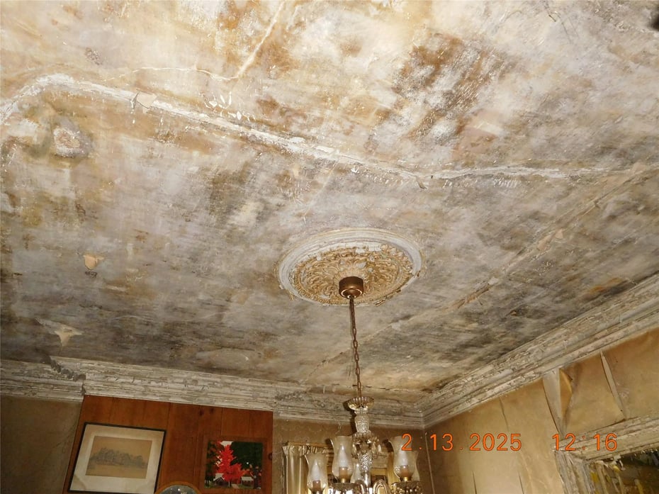 20 Maple Place Photo 9