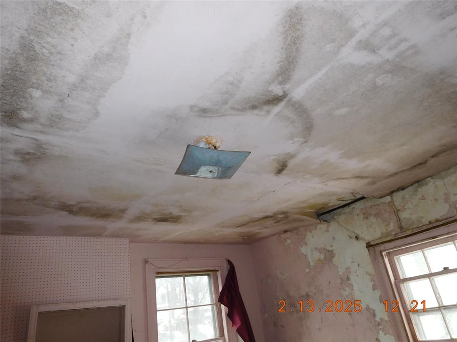 20 Maple Place Photo 23