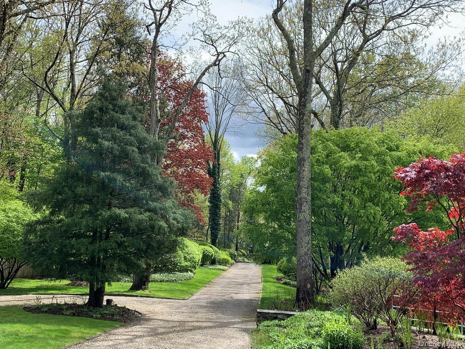 54 Cross Pond Road Photo 45