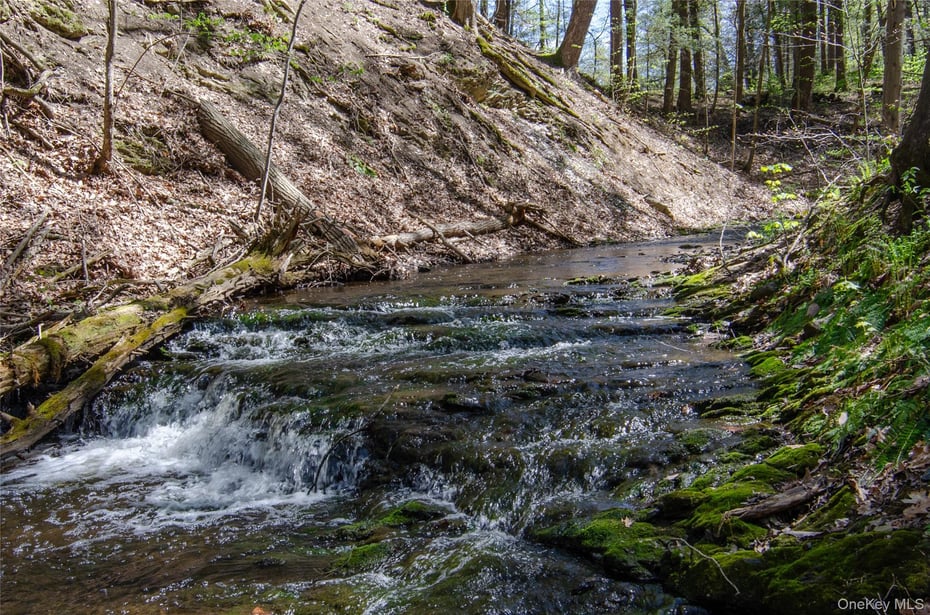 4317 Ny 23 Photo 36