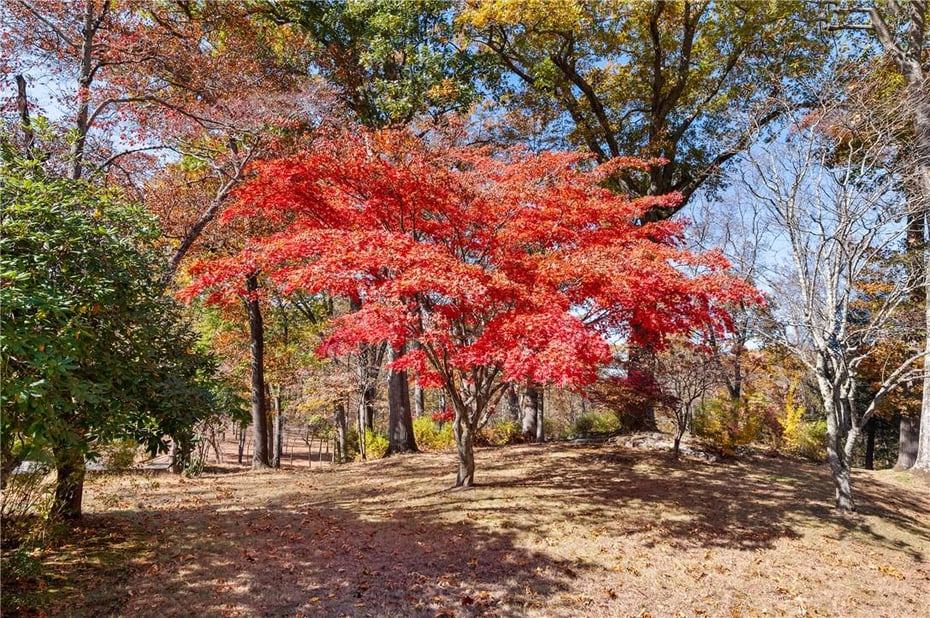 165 Croton Lake Road Photo 34