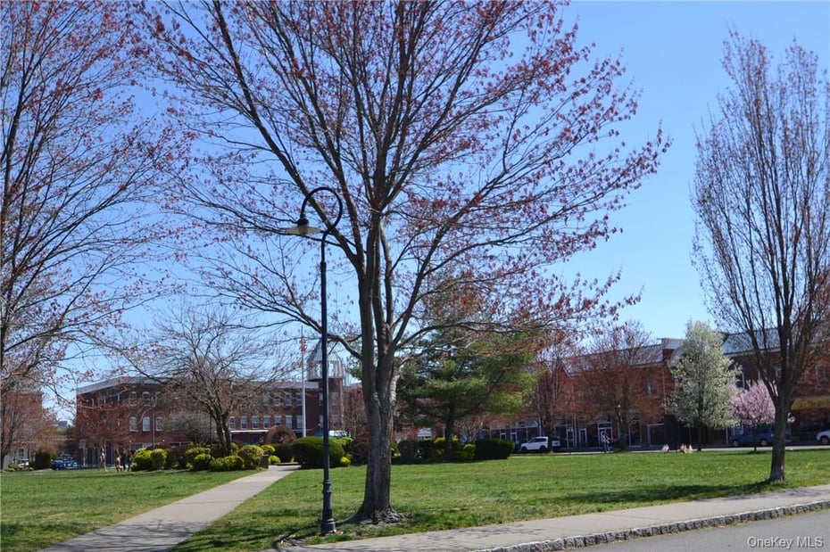 111 Gair Street Photo 21