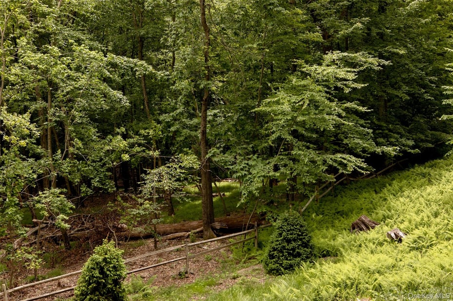 49 Sky Top Road Photo 2