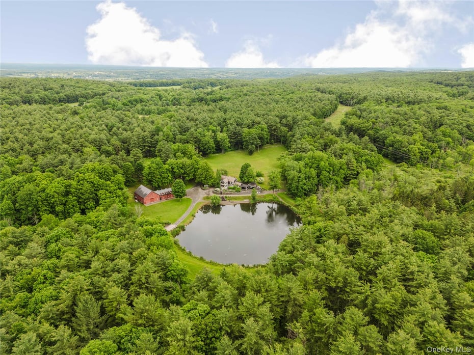 88 Mac Brown Road Photo 3