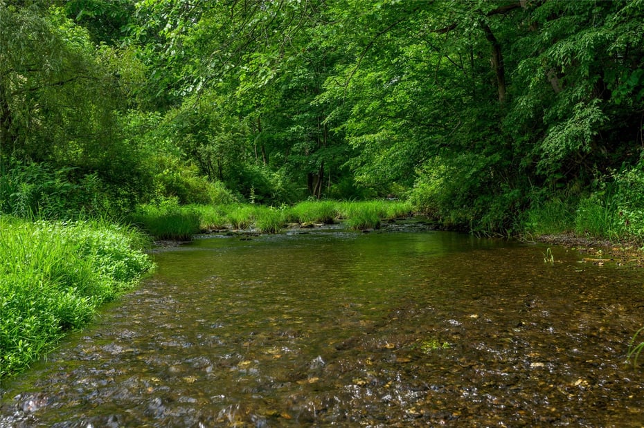 9960 Route 22 Photo 38