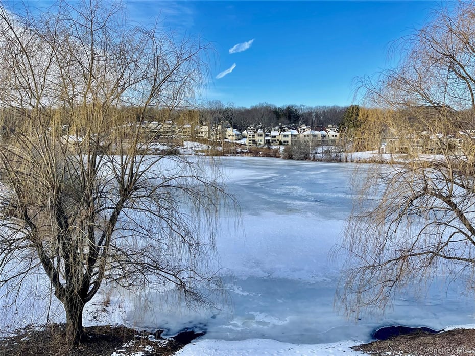 903 Oakridge Common Photo 9