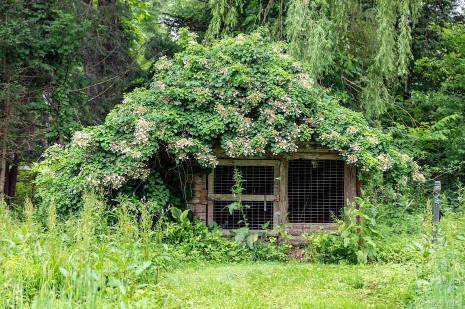 202 Buckwheat Bridge Photo 47