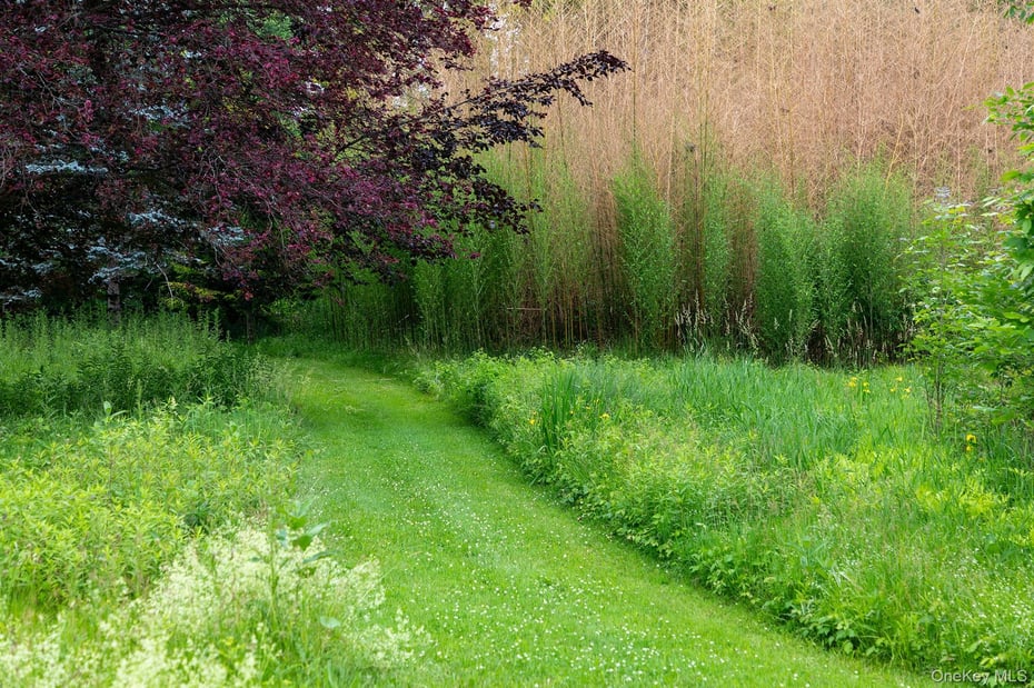 202 Buckwheat Bridge Photo 41