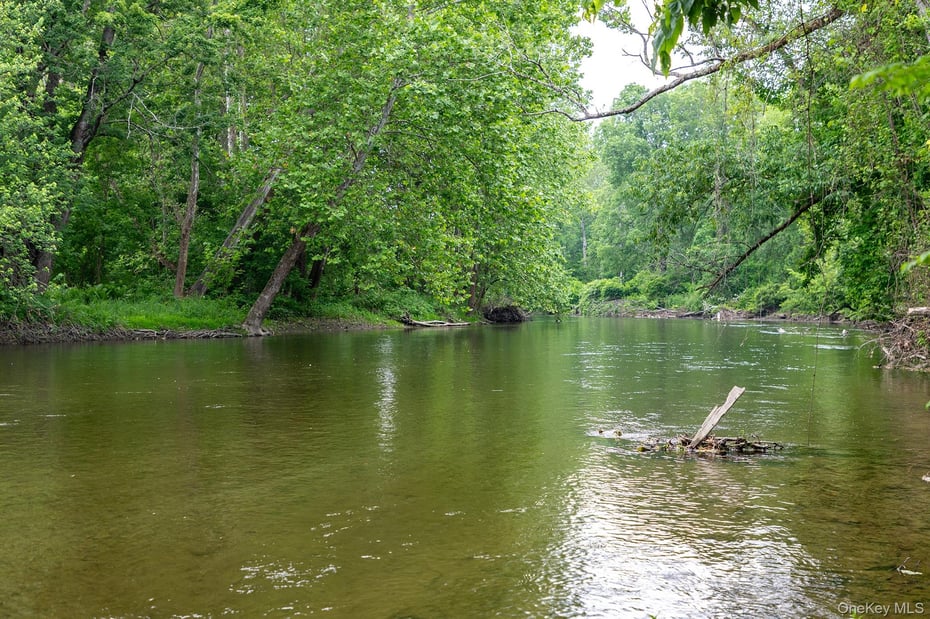 202 Buckwheat Bridge Photo 46