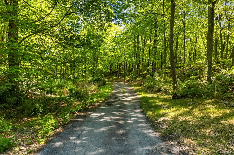 371-383 Pea Pond Road Photo 9