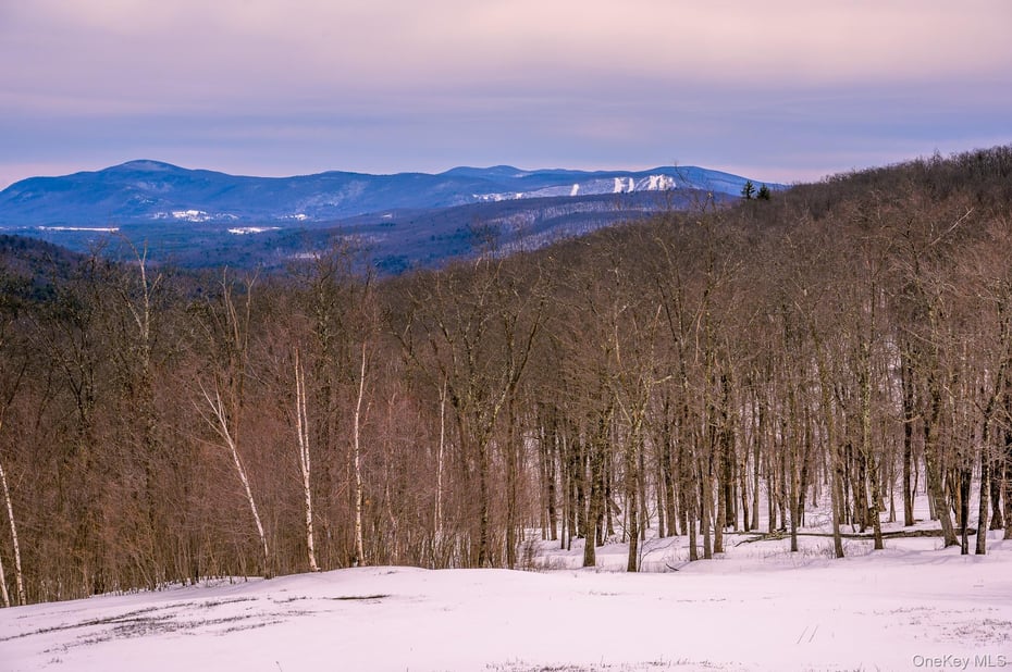 890 Bald Mountain Road Photo 3