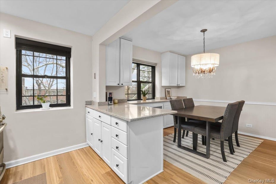 33 Manchester Road  #2R Photo 8